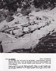 Algerie propagande 078